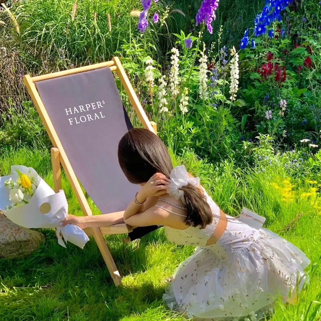 宫心计2深宫计国语